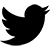 twitter
                                        icon
